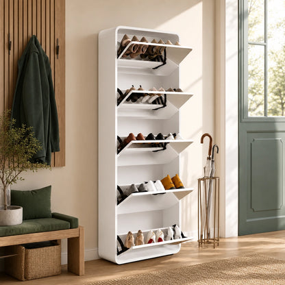 Mirror Shoe Storage Cabinet 5 Drawers